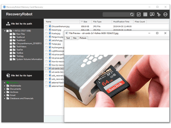 Imagen 0 para RecoveryRobot Memory Card…