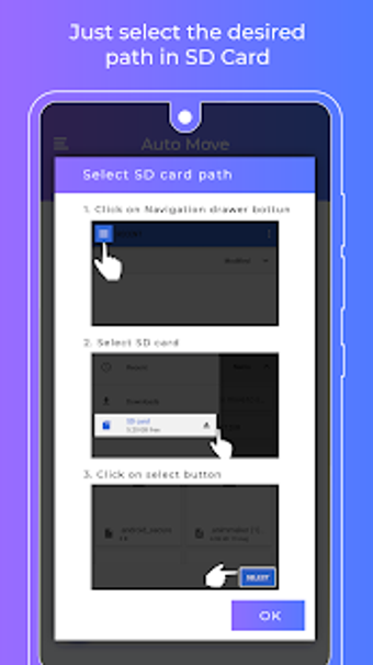Image 3 for Auto Transfer To Sd Card