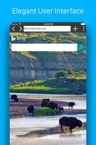 Image 0 for Pegasus Browser - Block A…