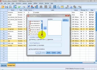 Image 0 for Using SPSS Data Analysis