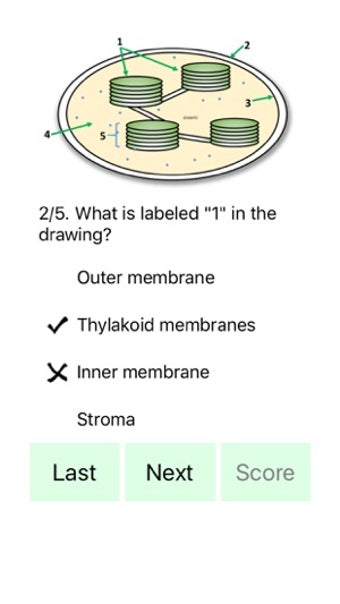 Image 3 for Cell Biology 101
