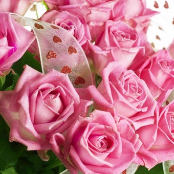 Imagen 6 para Pink Rose Live Wallpaper