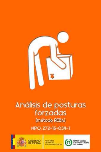 Imagen 0 para Carga postural REBA