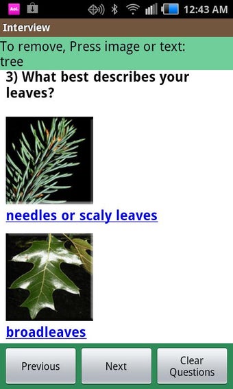 Image 2 for Virginia Tech Tree ID