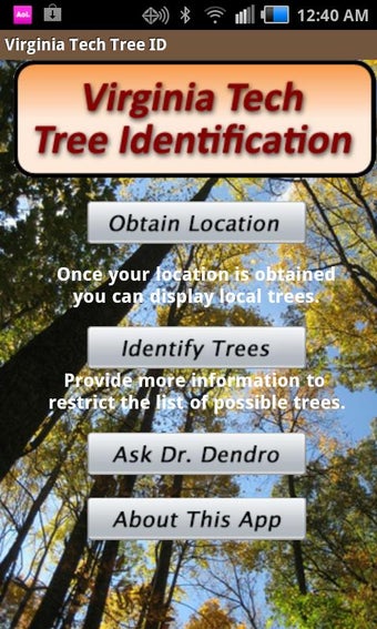 Image 1 for Virginia Tech Tree ID