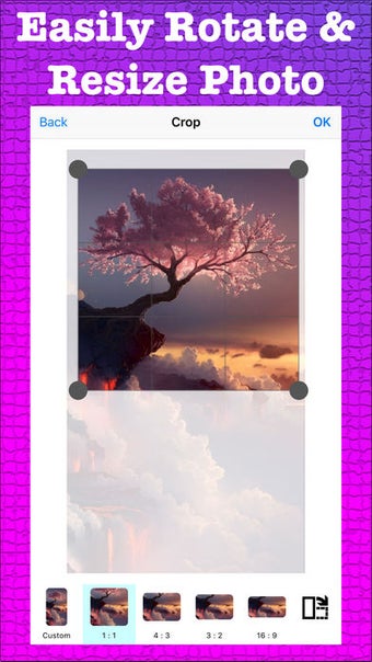Image 0 for Picture Perfect - All in …