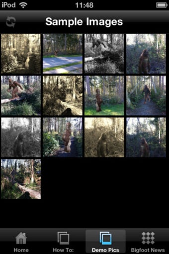 Image 1 for Bigfoot Camera Prank