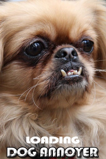 Image 0 for Dog Annoyer
