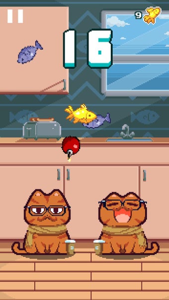 Imagen 0 para Nom Cat