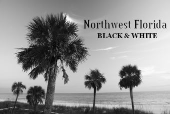 Image 0 for Northwest Florida's Gulf …