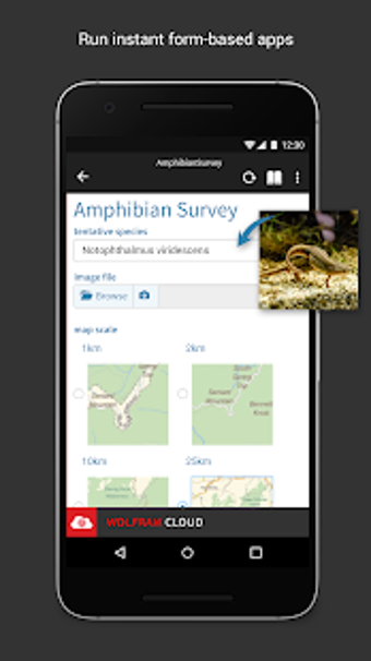 Imagen 1 para Wolfram Cloud