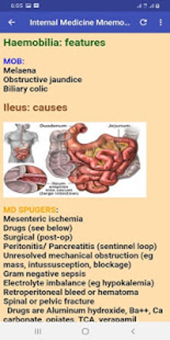 Image 1 for Internal Medicine Mnemoni…