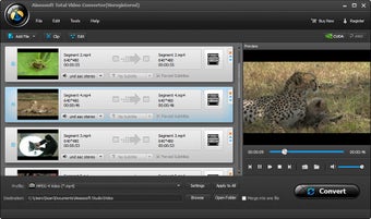 Imagen 0 para Aiseesoft iRiver Video Co…