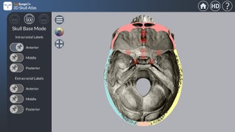 Image 0 for 3D Skull Atlas