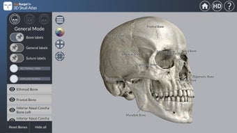 Image 1 for 3D Skull Atlas