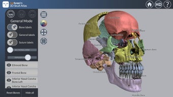 Image 2 for 3D Skull Atlas
