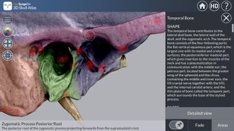 Image 3 for 3D Skull Atlas