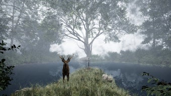Image 0 for TheLostWoods / 迷いの森
