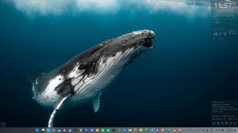 Imagen 0 para TidyPanel