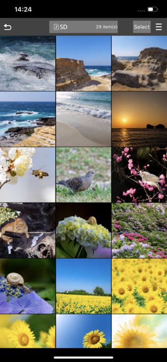 Image 1 for Panasonic LUMIX Sync