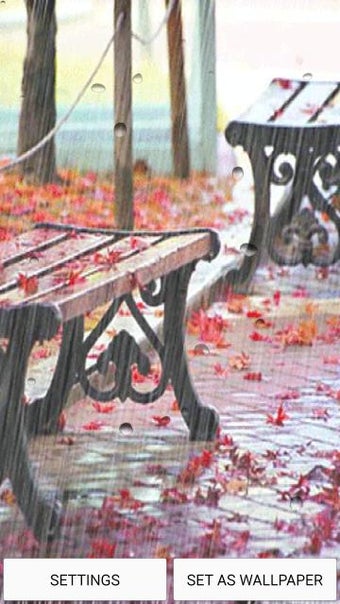Image 0 for Rain Live Wallpaper With …