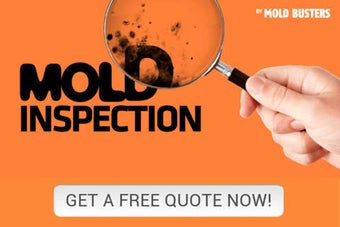 Imagen 0 para Free Mold Inspection