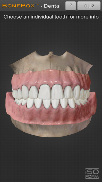 Image 0 for BoneBox - Dental Lite