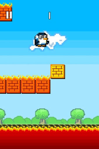 Image 0 for Oscar Jumps