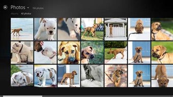 Image 1 for WD for Windows 10