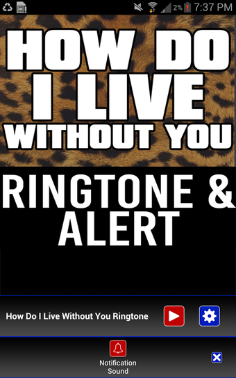 Imagen 1 para How Do I Live Without You…