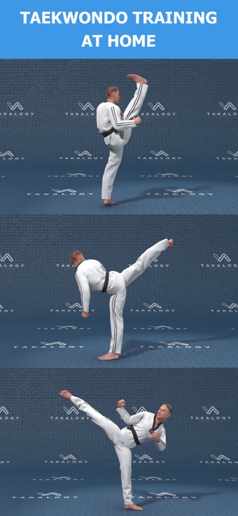 Image 1 for Mastering Taekwondo