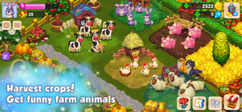 Image 1 for Royal Farm: Wonder Valley