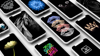 Image 2 for Black Wallpaper