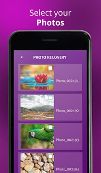 Image 2 for Photo Recovery Pro - Rest…