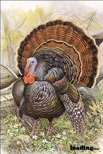 Image 0 for Free Turkey Calls