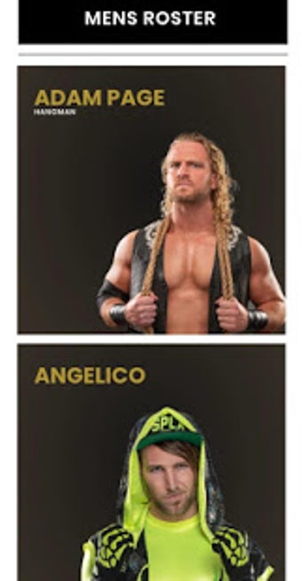 Image 1 for AEW: All Elite Wrestling