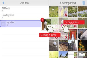 Image 0 for Easy Albums Free