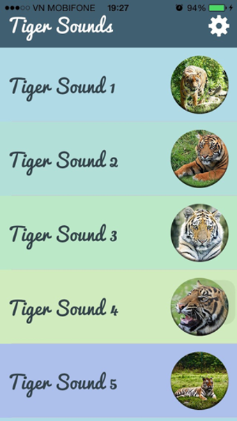 Imagen 1 para Tiger Sounds - Tiger Soun…