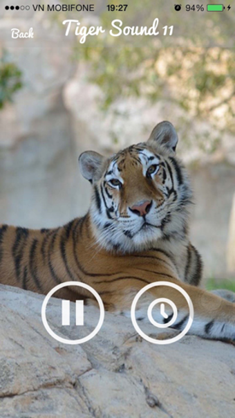 Imagen 0 para Tiger Sounds - Tiger Soun…