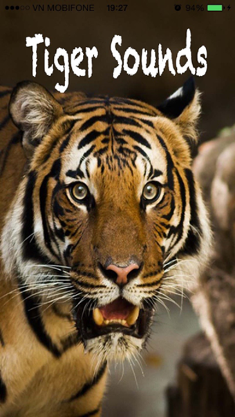 Imagen 3 para Tiger Sounds - Tiger Soun…