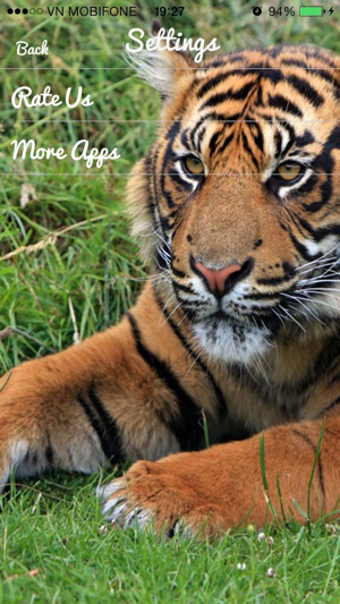 Imagen 2 para Tiger Sounds - Tiger Soun…