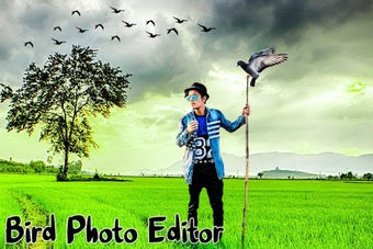Image 0 for Bird Photo Editor