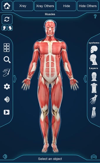 Imagen 1 para My Muscle Anatomy