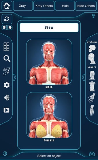 Imagen 2 para My Muscle Anatomy