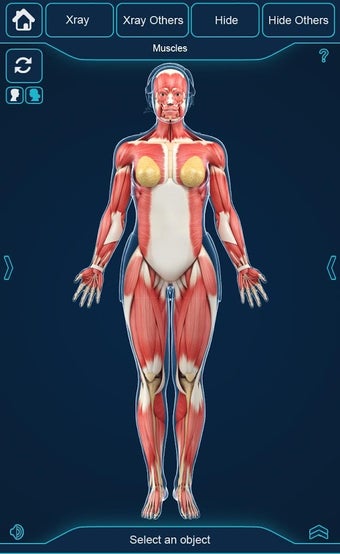 Imagen 0 para My Muscle Anatomy
