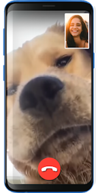 Image 0 for Video Call From A Dog (pr…