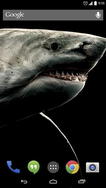 Imagen 5 para Shark 3D Live Wallpaper