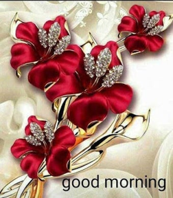 Image 1 for Good Morning