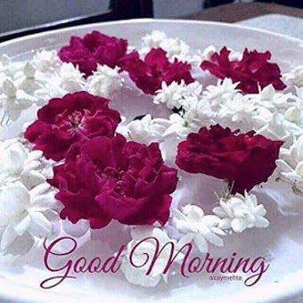 Image 2 for Good Morning