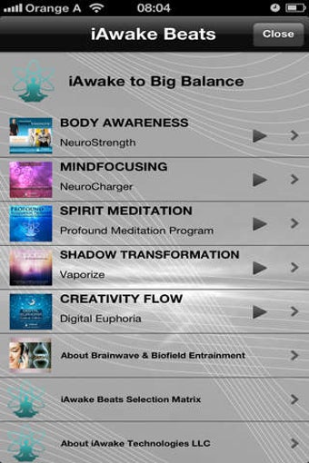 Image 0 for Life Balance Matrix Tool …
